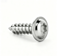 Truss Head Torx Drive Stainless Steel Tapping Screws