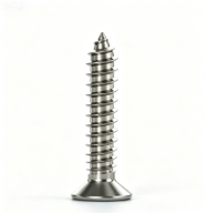 Stainless Steel Flat Head Torx Recess Tapping Point Self-Drilling Screws
