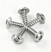 Truss Head Torx Drive Stainless Steel Tapping Screws