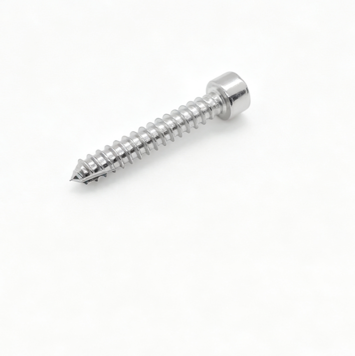Socket Head Torx Recess Type 17 Point Self-Tapping Fasteners