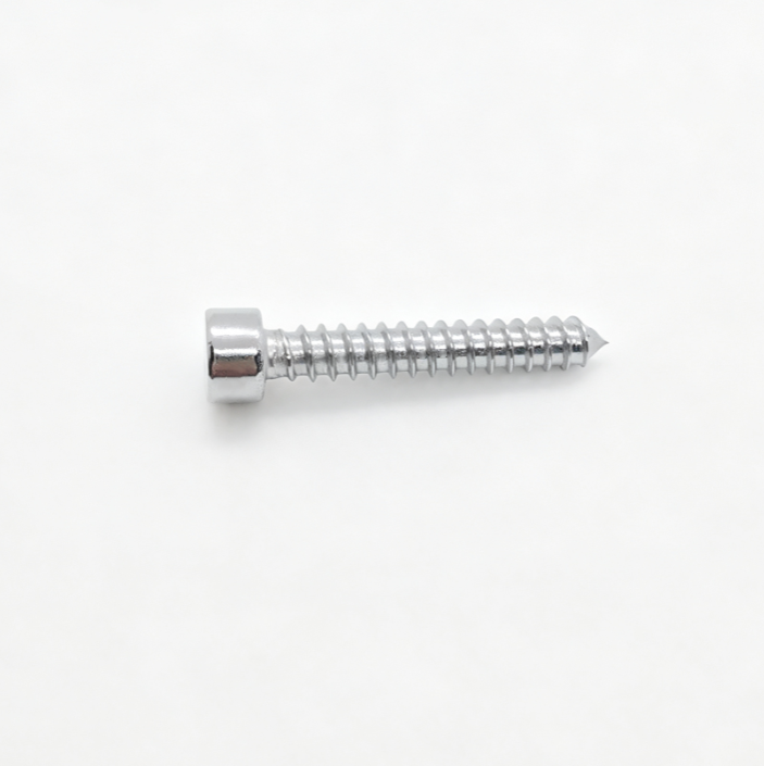 Socket Head Torx Recess Type 17 Point Self-Tapping Fasteners