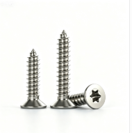 Stainless Steel Flat Head Torx Recess Tapping Point Self-Drilling Screws