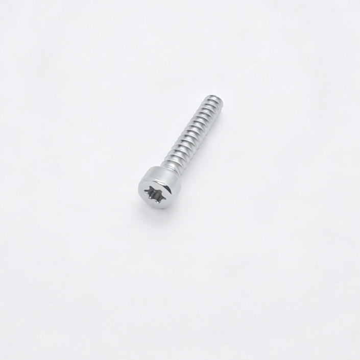 Socket Head Torx Recess Type 17 Point Self-Tapping Fasteners